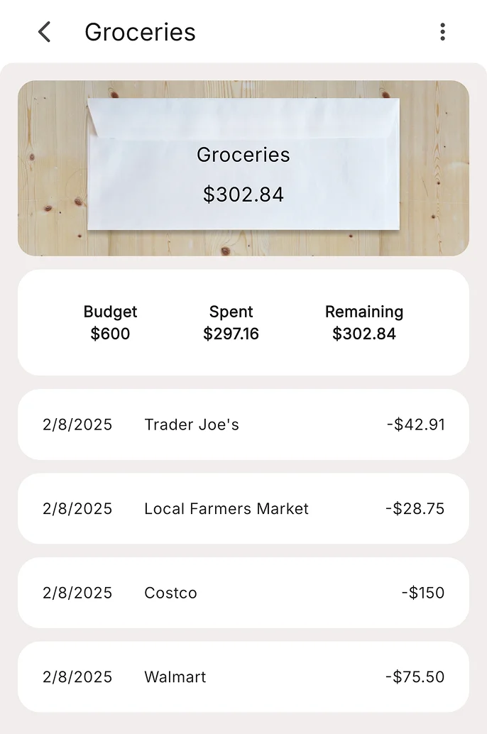 Envelope transactions preview
